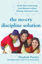 Parenting Books by Elizabeth Pantley The No Cry Discipline Solution